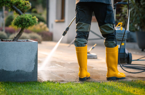 Best Roof Pressure Washing  in Wilkes Barre, PA